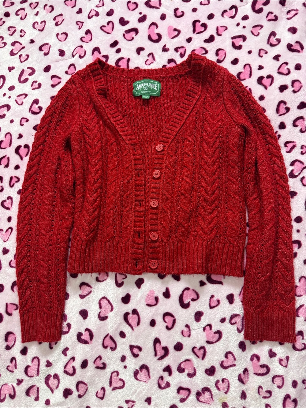American Eagle Outfitters Red Cable Knit Button-Up Cardigan